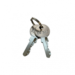 English type key RZ K1333KA, steel, for one key insert, set of 2 keys